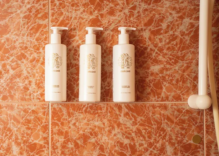 Grand Astoria 4* Grado